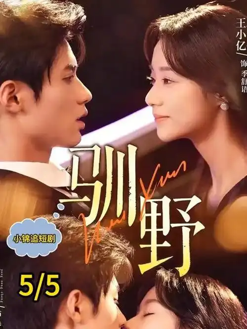 长夜将明 热播电视剧全集免费观看
